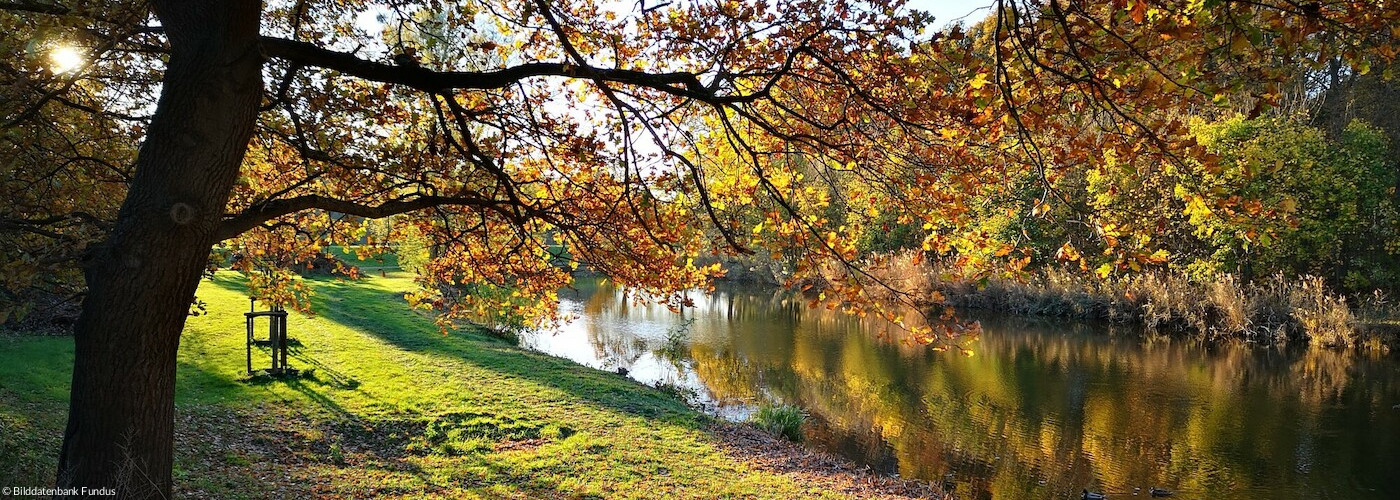 Herbstspaziergang an der Werre_023