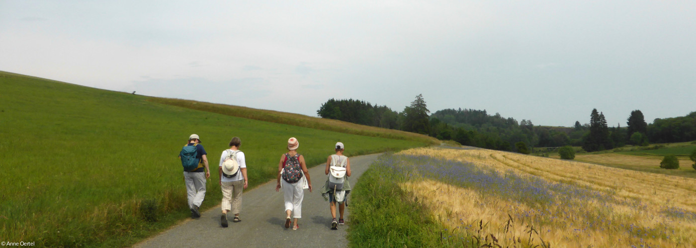 Vier Menschen in Wanderkleidung pilgern im Sommer über einen Feldweg