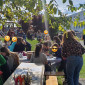 Hoffnungsfestival
